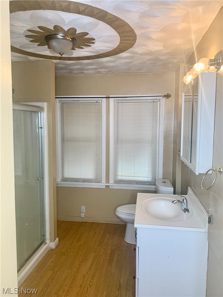 665 Dorchester Road Akron, OH 44320 - Photo 13 of 18 Bathroom featuring toilet, an enclosed shower, vanity, a tray ceiling, and hardwood / wood-style floors
