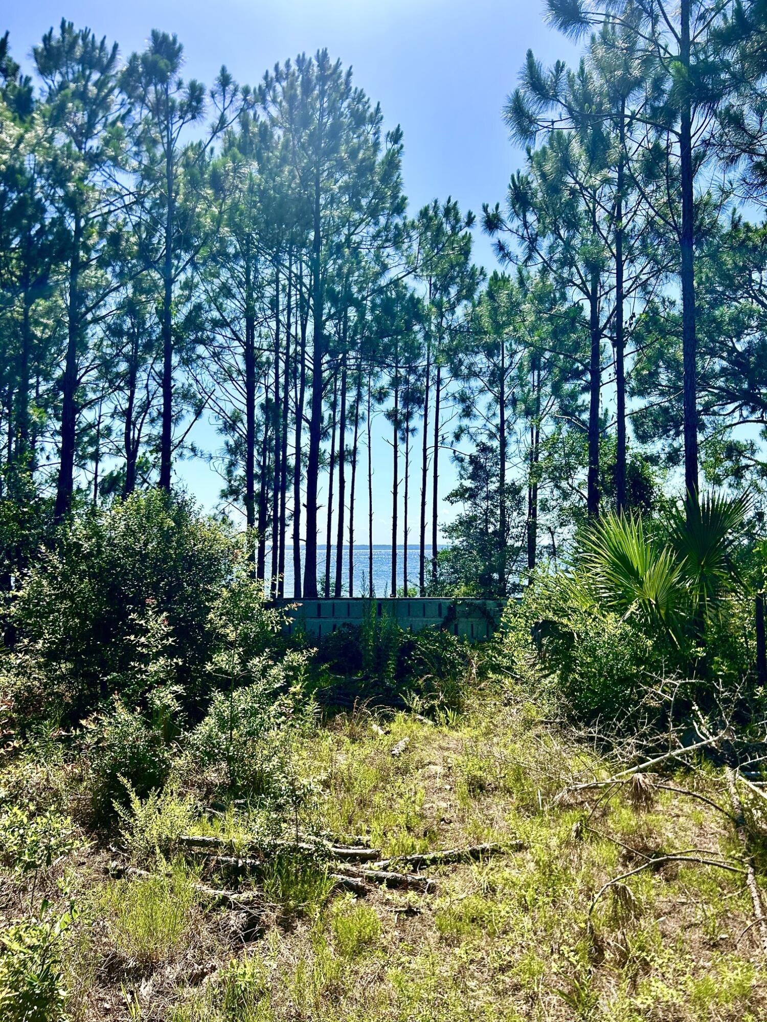 1021 Pearson Road Milton, FL 32583 - Photo 5 of 12 a view of outdoor space and garden