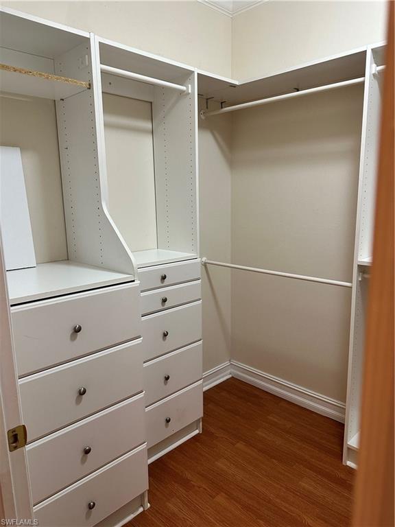 8267 Laurel Lakes Way Naples, FL 34119 - Photo 19 of 23 Walk in closet featuring dark wood-style floors
