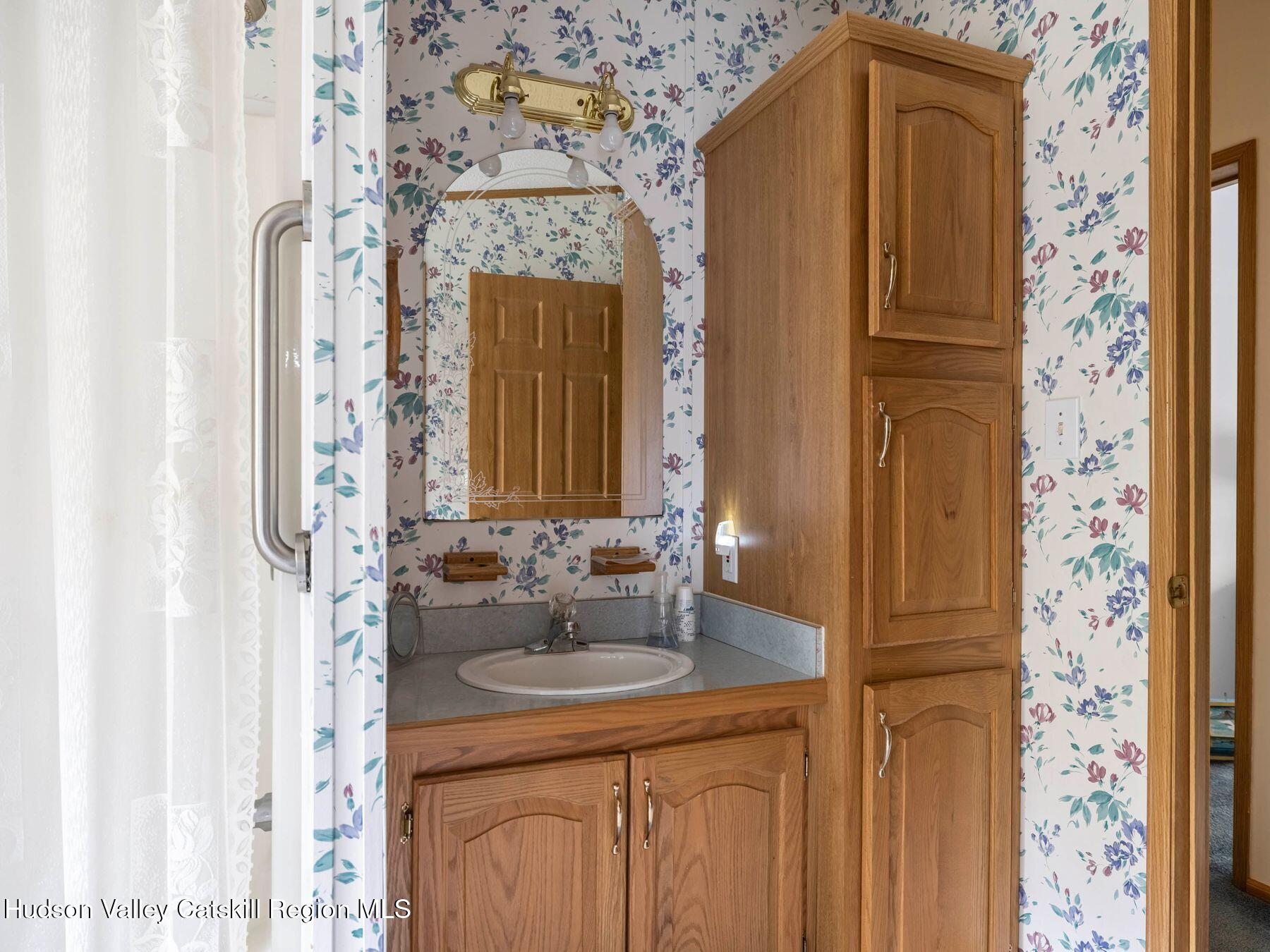 370 Begley Road Windham, NY 12496 - Photo 35 of 51 a bathroom with a sink a mirror and a shower