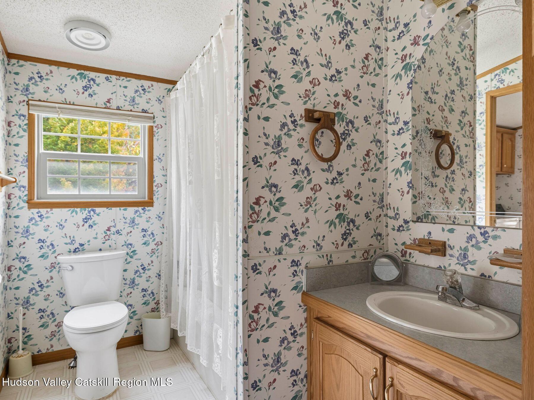370 Begley Road Windham, NY 12496 - Photo 36 of 51 a bathroom with a granite countertop sink a toilet and a mirror