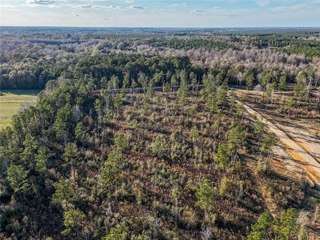0 Lot 5 Highway Morganza, LA 70759 - Photo 2 of 9