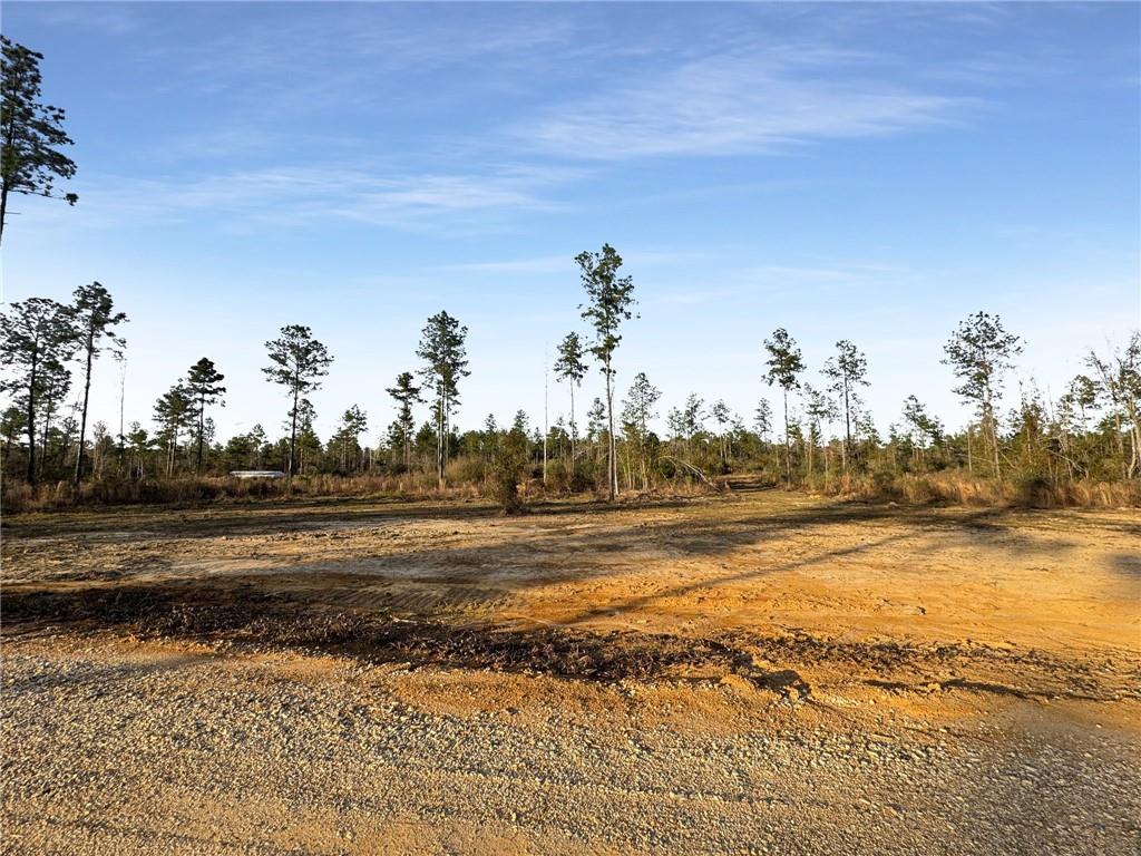 0 Lot 5 Highway Morganza, LA 70759 - Photo 4 of 9