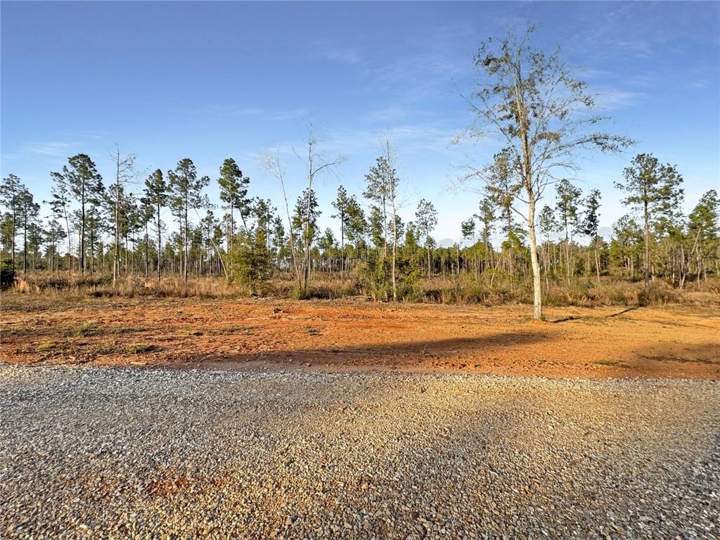 0 Lot 5 Highway Morganza, LA 70759 - Photo 5 of 9