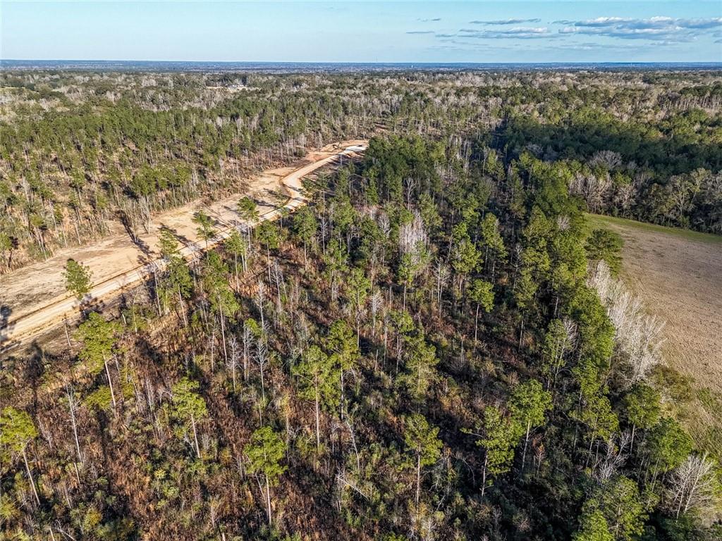 0 Lot 5 Highway Morganza, LA 70759 - Photo 7 of 9