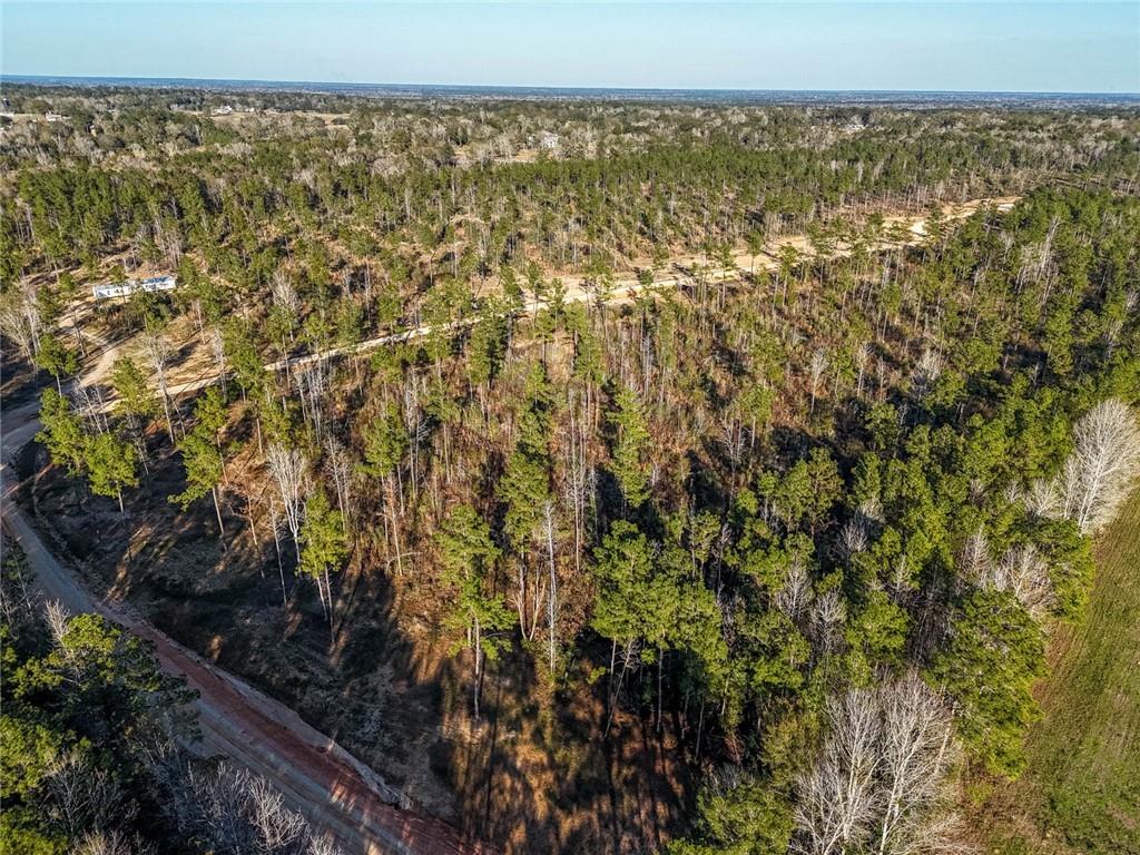 0 Lot 5 Highway Morganza, LA 70759 - Photo 8 of 9