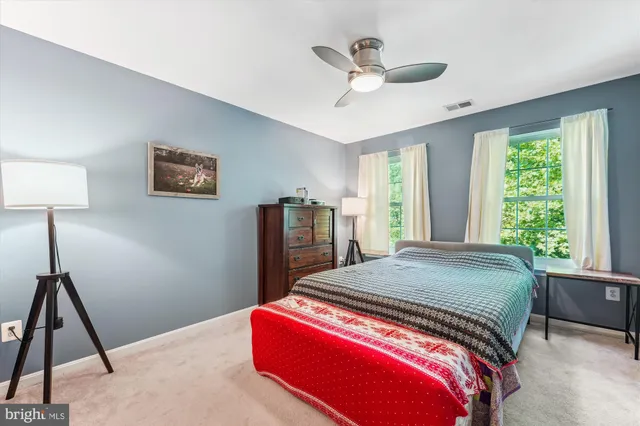 a view of a tree in the middle of a yard