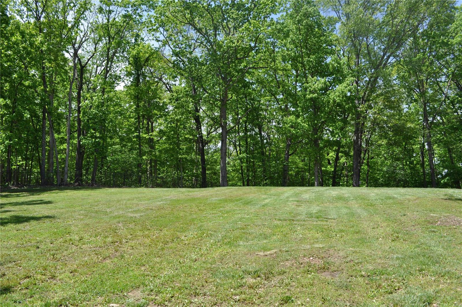 17528 Summit View Place Ridge Wildwood, MO 63038 - Photo 4 of 43 Gallery Image 4