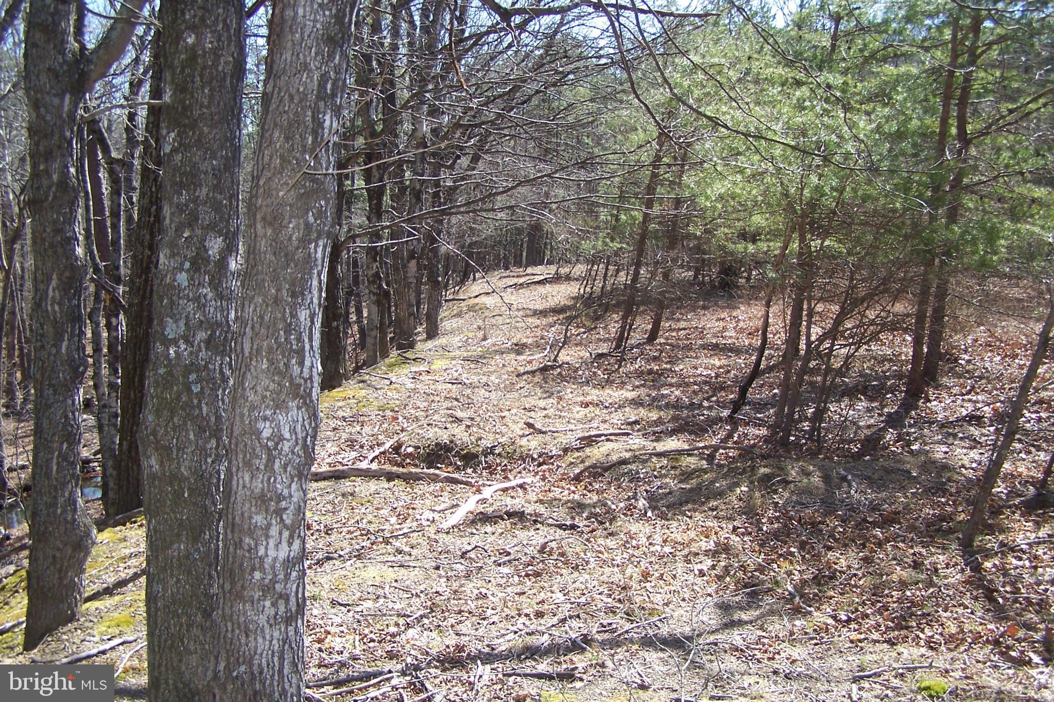 0 Luther Michael Road Berkeley Springs, WV 25411 - Photo 3 of 8