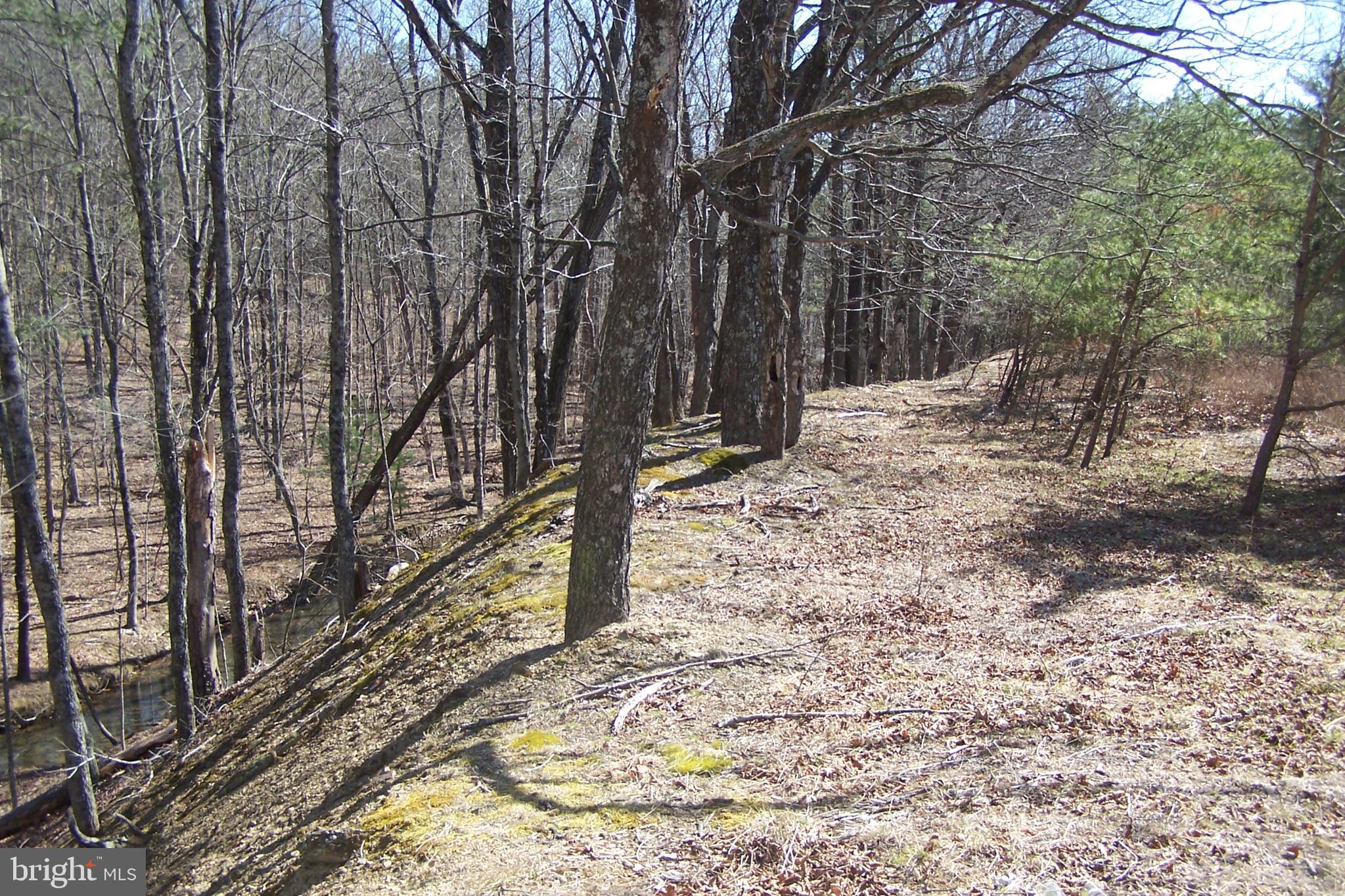 0 Luther Michael Road Berkeley Springs, WV 25411 - Photo 4 of 8