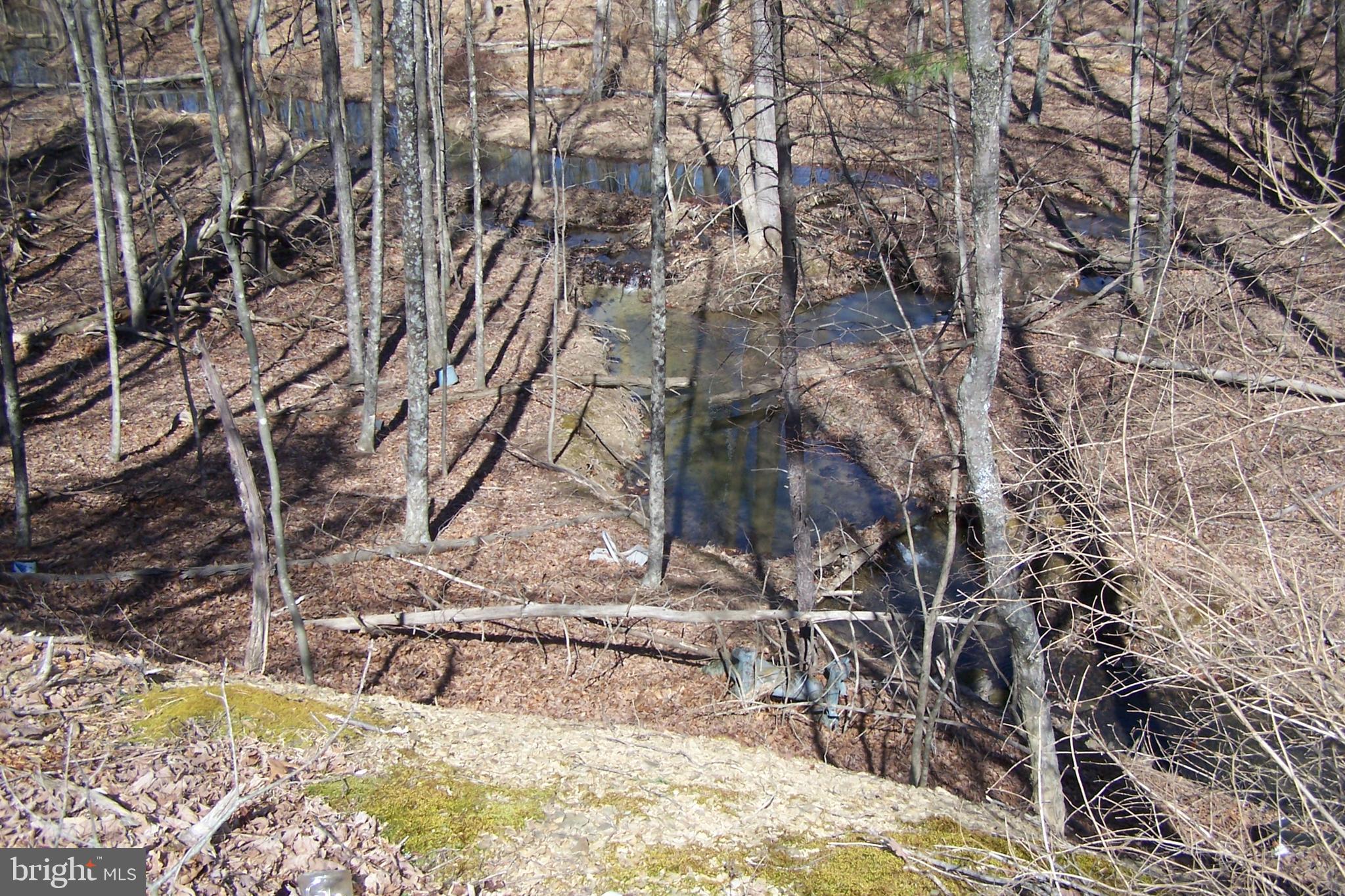 0 Luther Michael Road Berkeley Springs, WV 25411 - Photo 5 of 8