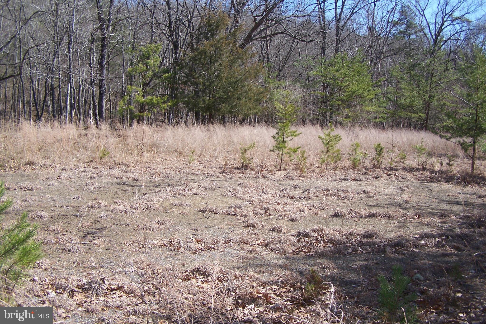 0 Luther Michael Road Berkeley Springs, WV 25411 - Photo 7 of 8