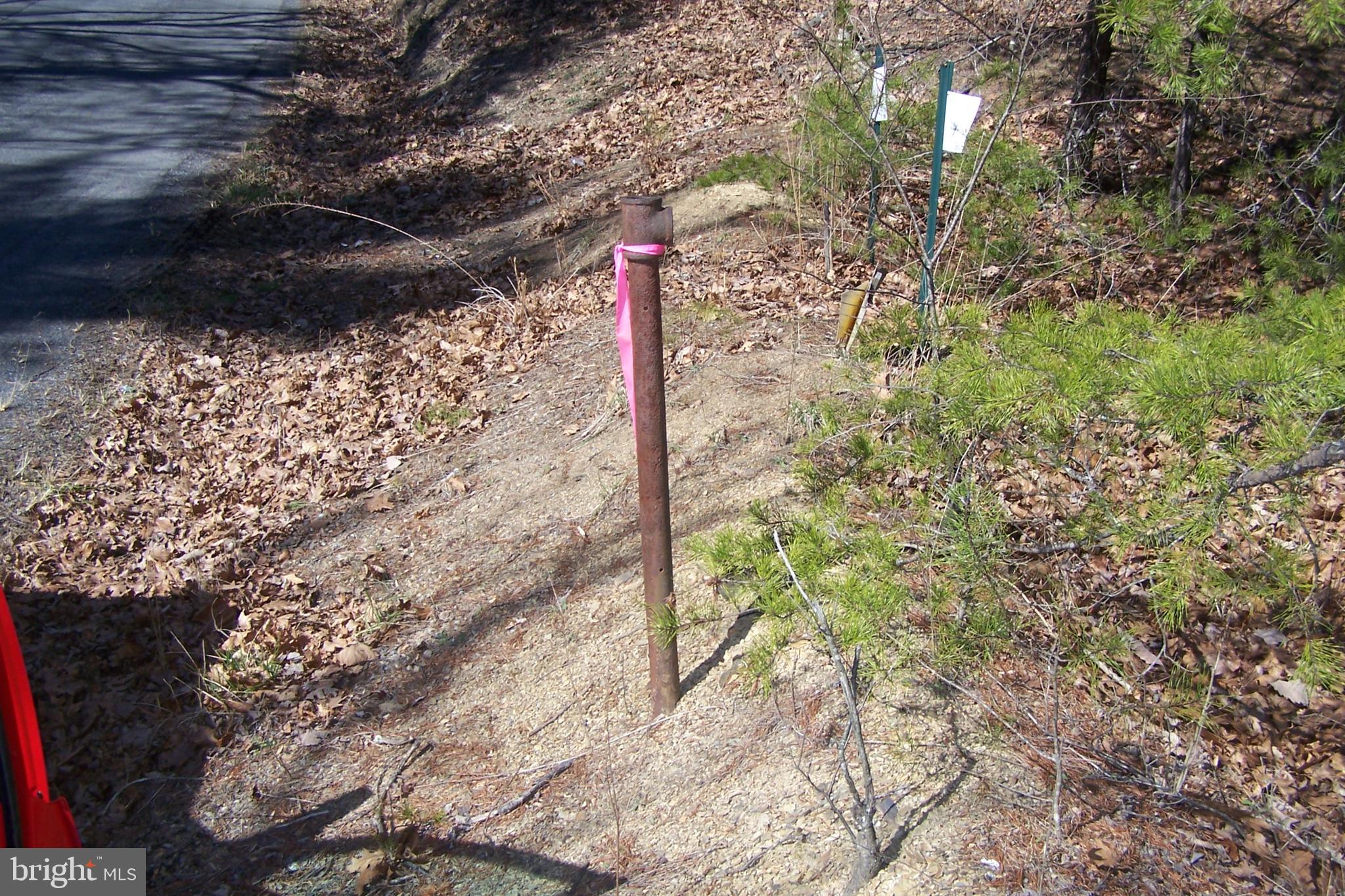 0 Luther Michael Road Berkeley Springs, WV 25411 - Photo 8 of 8