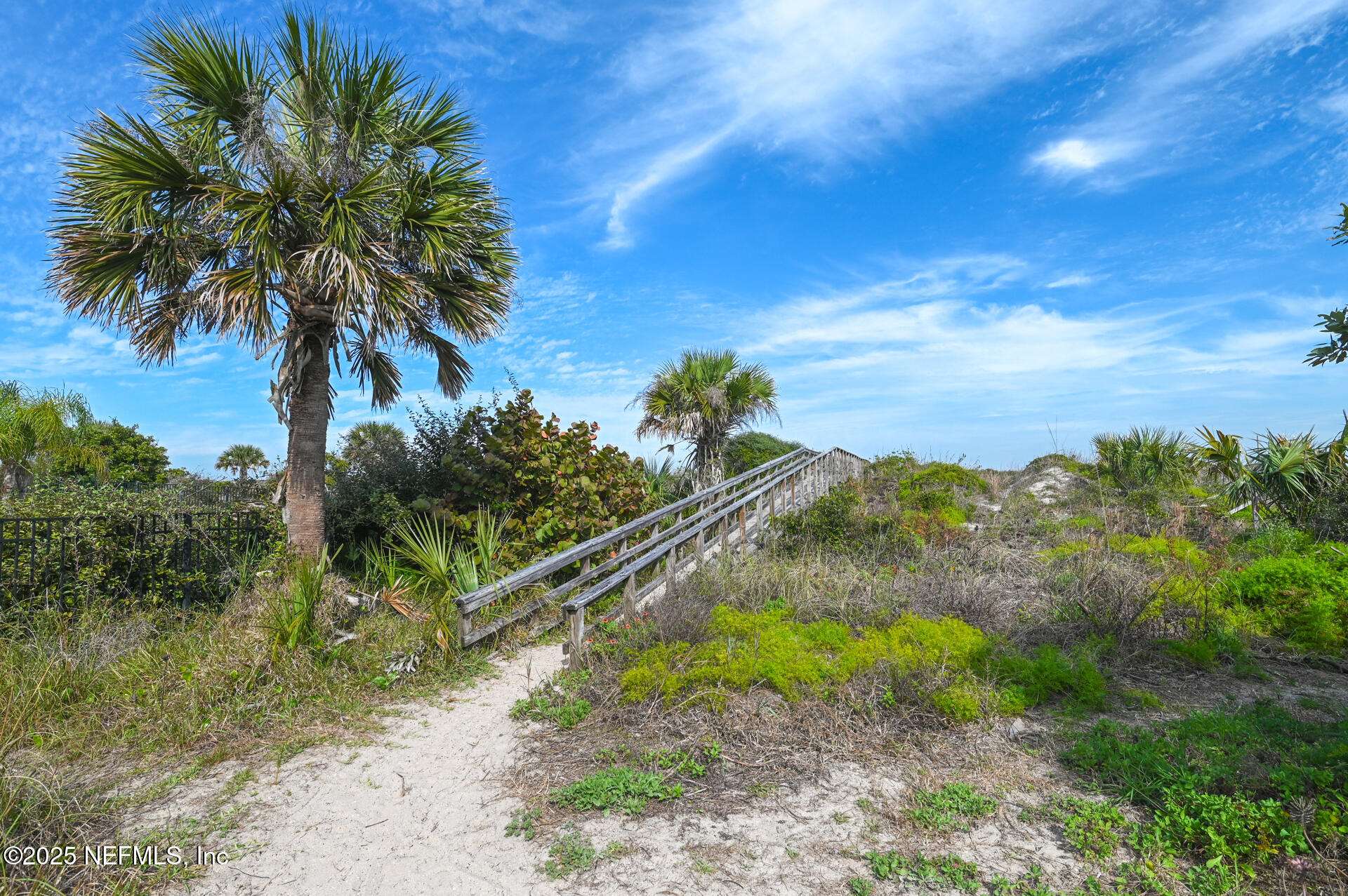 5072 Atlantic View St. Augustine, FL 32080 - Photo 59 of 68 a view of a yard with palm tree