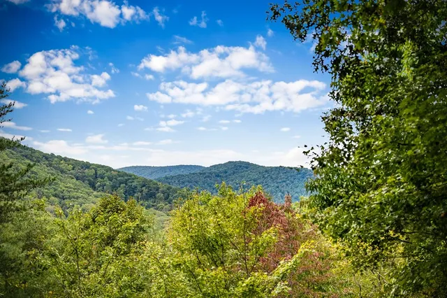 $569,000 | 338 Buckskin Drive, Cherry Log, GA 30522