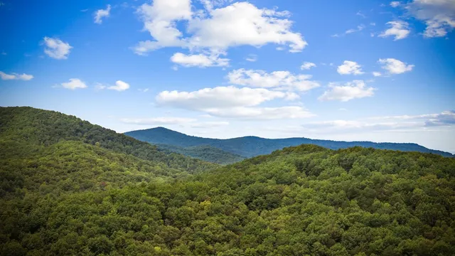 $569,000 | 338 Buckskin Drive, Cherry Log, GA 30522