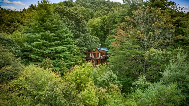 $569,000 | 338 Buckskin Drive, Cherry Log, GA 30522