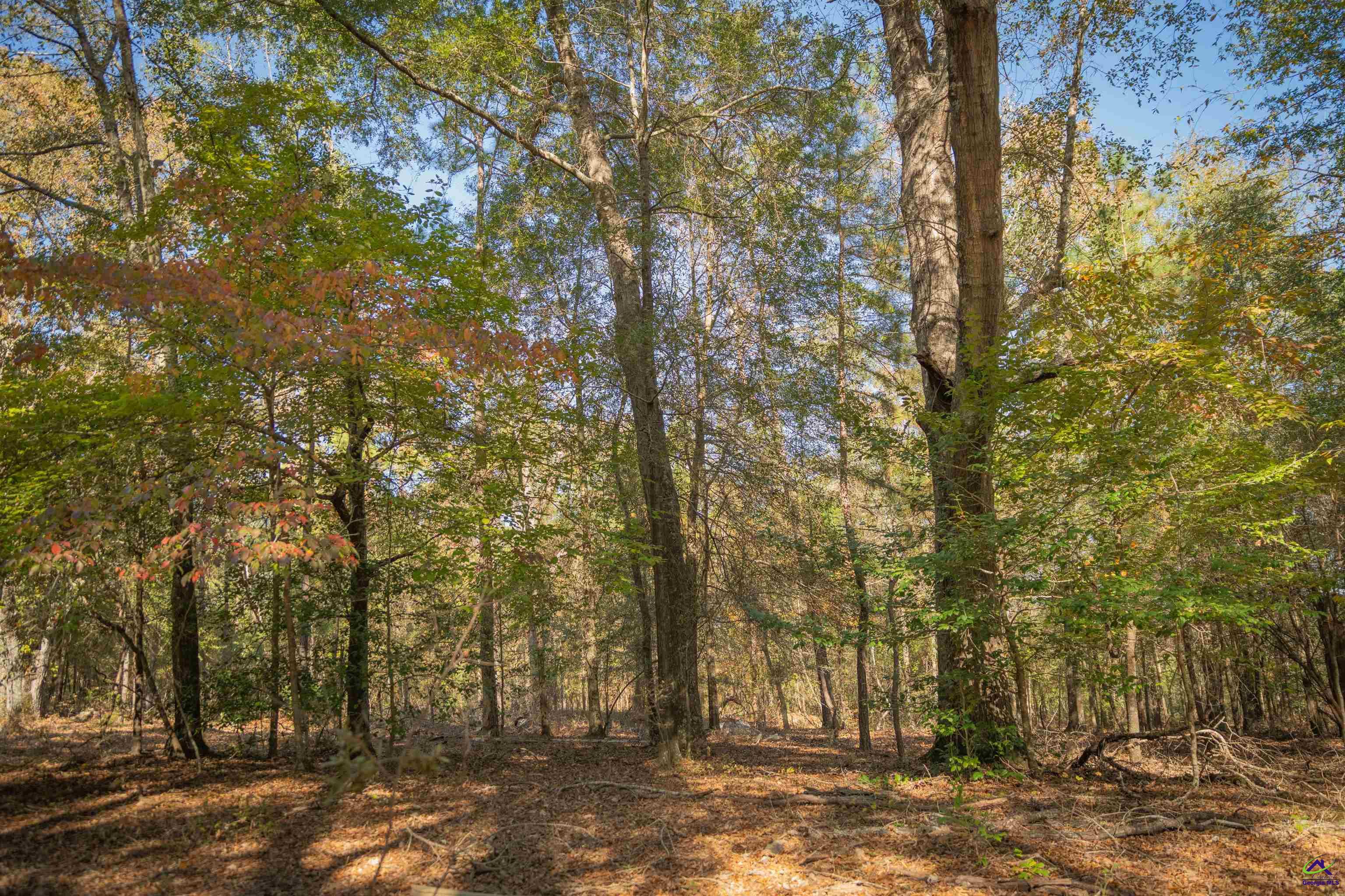498 White Springs Church Road Gordon, GA 31031 - Photo 31 of 36 Gallery Image 31