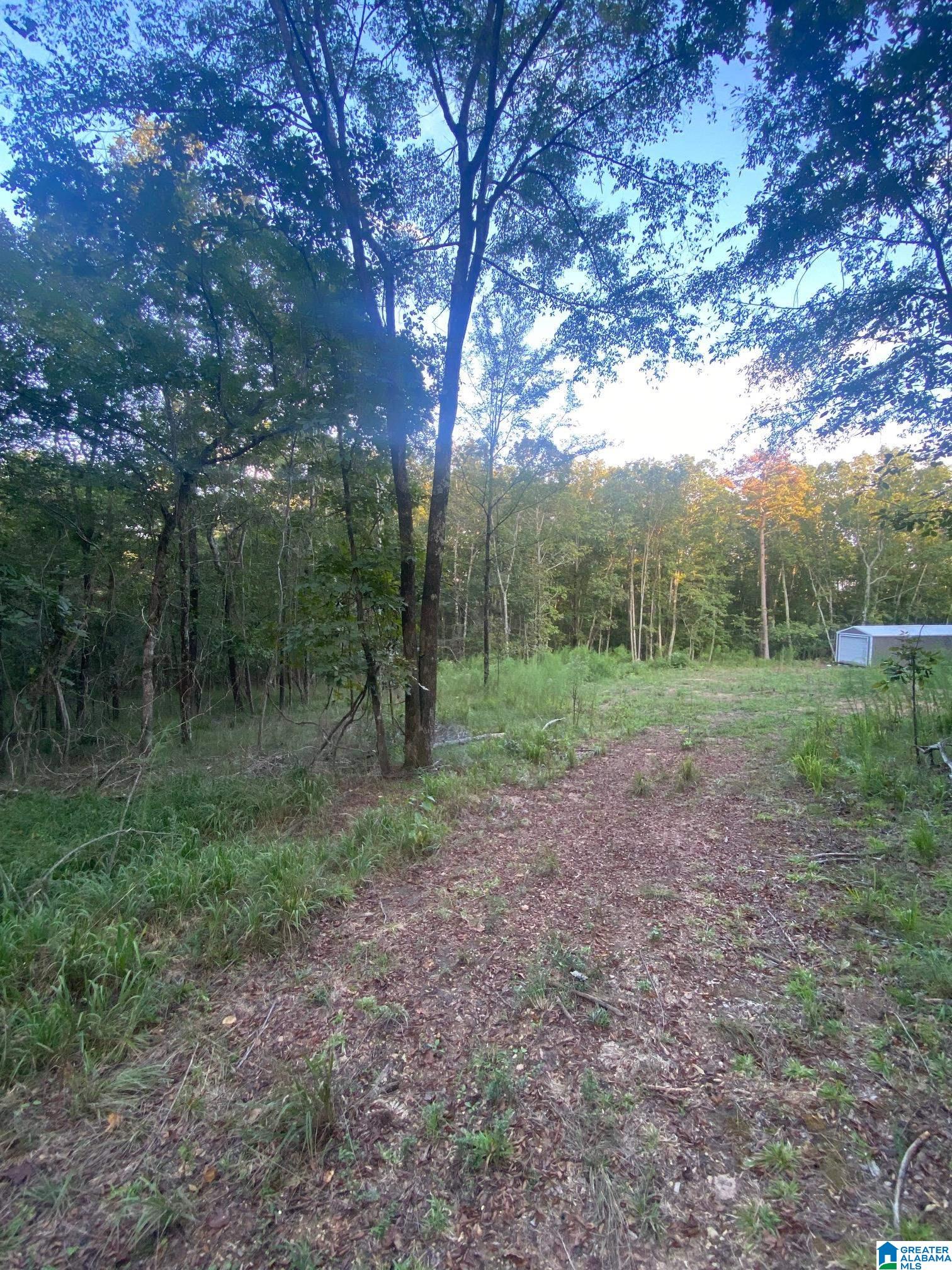 0 Ridge View Drive, Unit TRACT 2 Trussville, AL 35173 - Photo 4 of 5