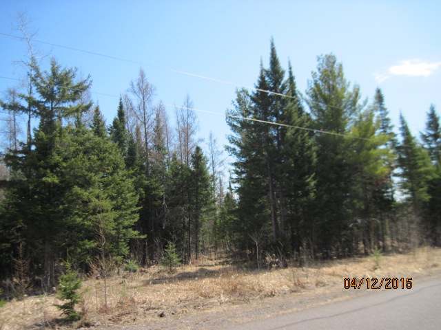 On Orchard Road Butternut, WI 54514 - Photo 20 of 20 Gallery Image 20