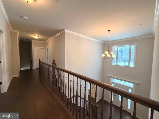 a view of a hallway with windows