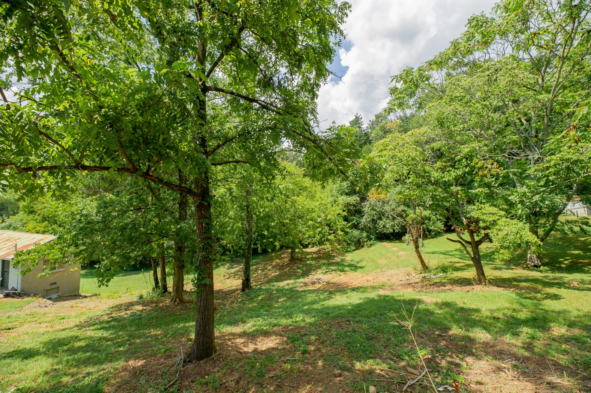 505 Patton Ferry Road Kingston, TN 37763 - Photo 5 of 22 Gallery Image 5