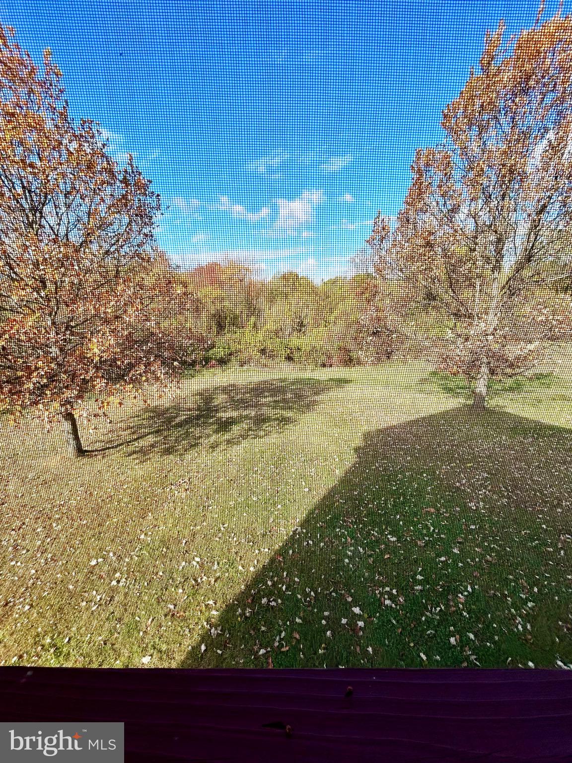 12003 Piscataway Road Clinton, MD 20735 - Photo 41 of 68 View from screened deck