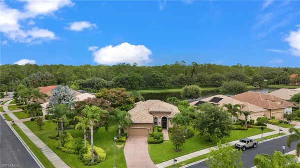 a view of a garden with a swimming pool