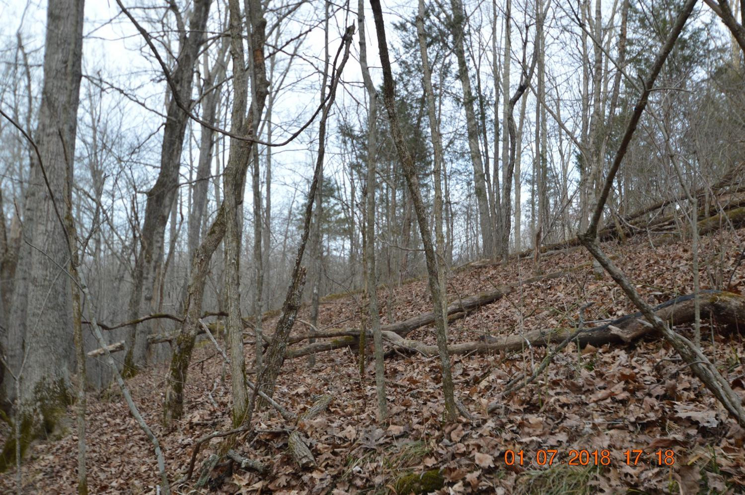 1290 Dennis Road, Unit 3 Lawrenceburg, KY 40342 - Photo 63 of 76 Photo 63