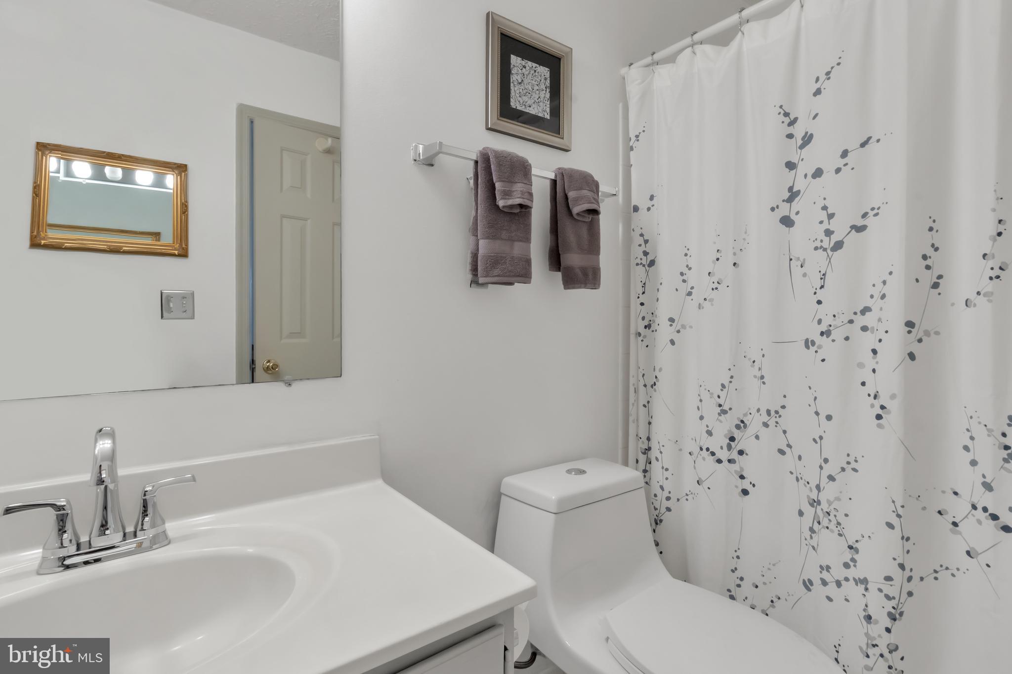 415 Beach Drive Annapolis, MD 21403 - Photo 34 of 54 Designer Vanity & Tub/Shower Combo