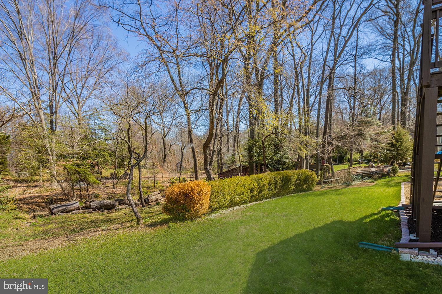 415 Beach Drive Annapolis, MD 21403 - Photo 7 of 54 Natural Privacy Fence of Mature Greenery