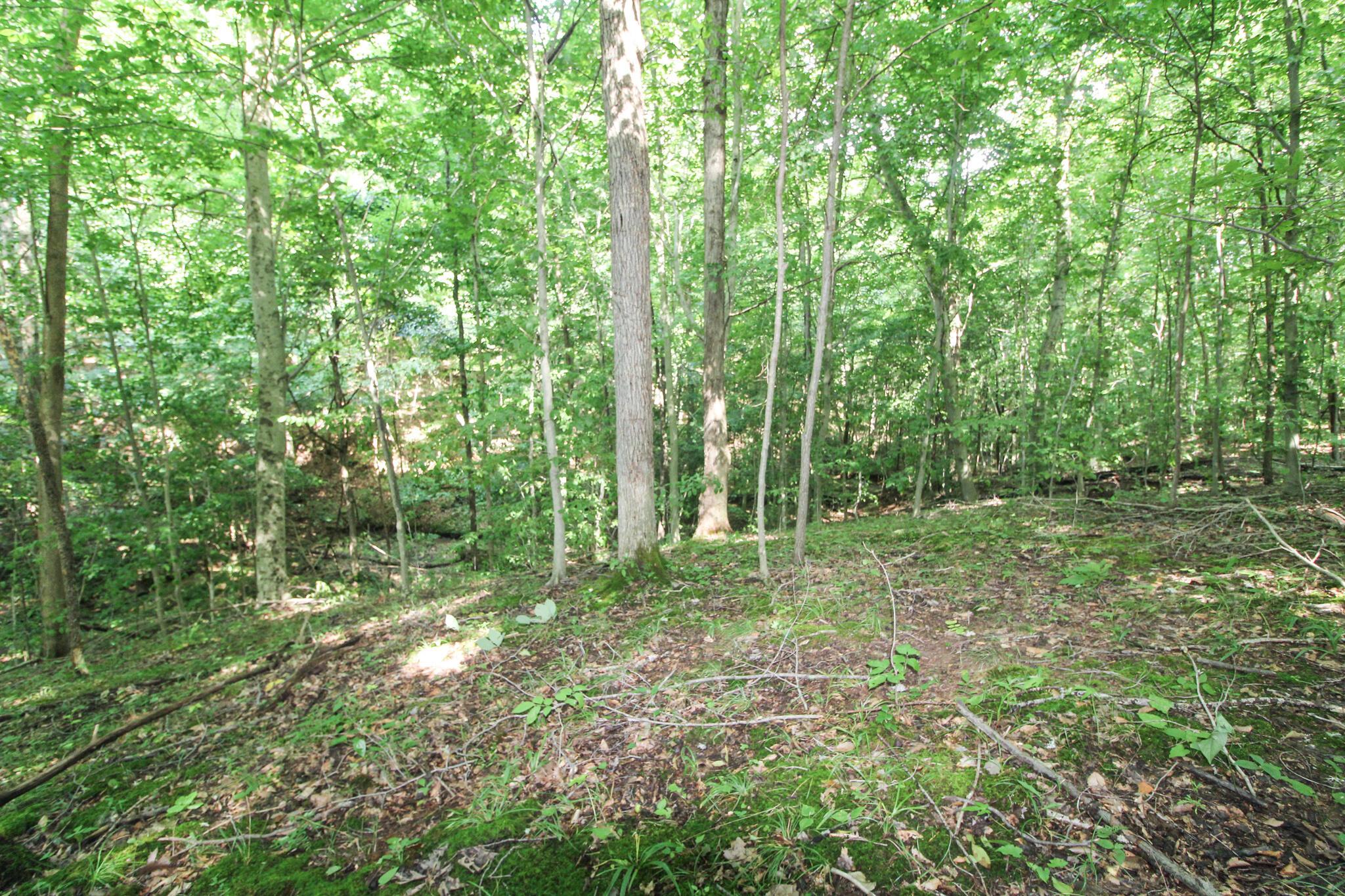 0 Dietrick Hill Road Philo, OH 43771 - Photo 18 of 25 IMG_4905