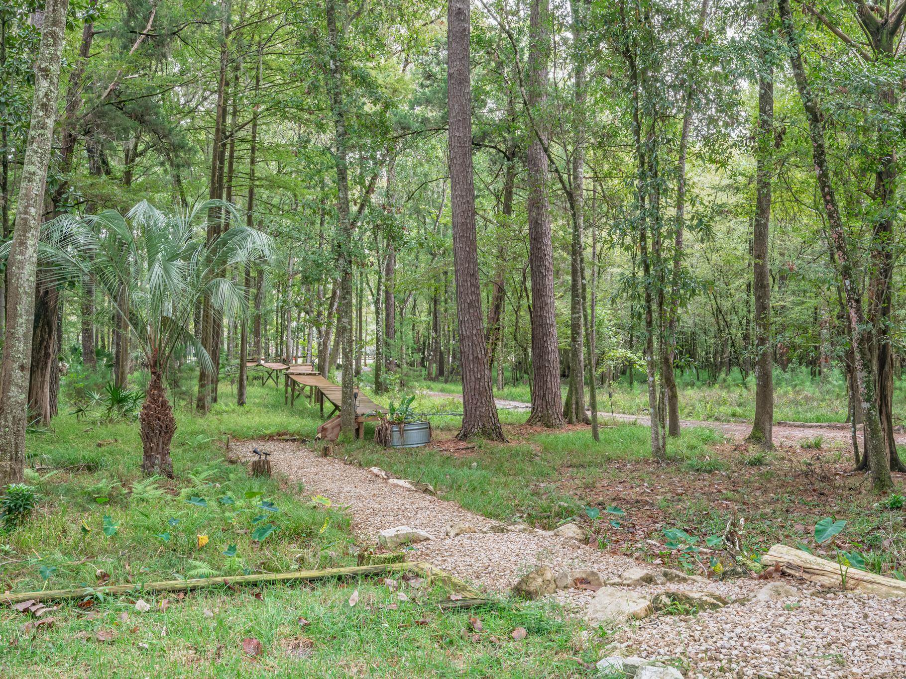91 St Marks Rise Road Crawfordville, FL 32327 - Photo 12 of 44