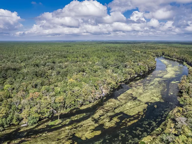 $650,000 | 91 St Marks Rise Road, Crawfordville, FL 32327