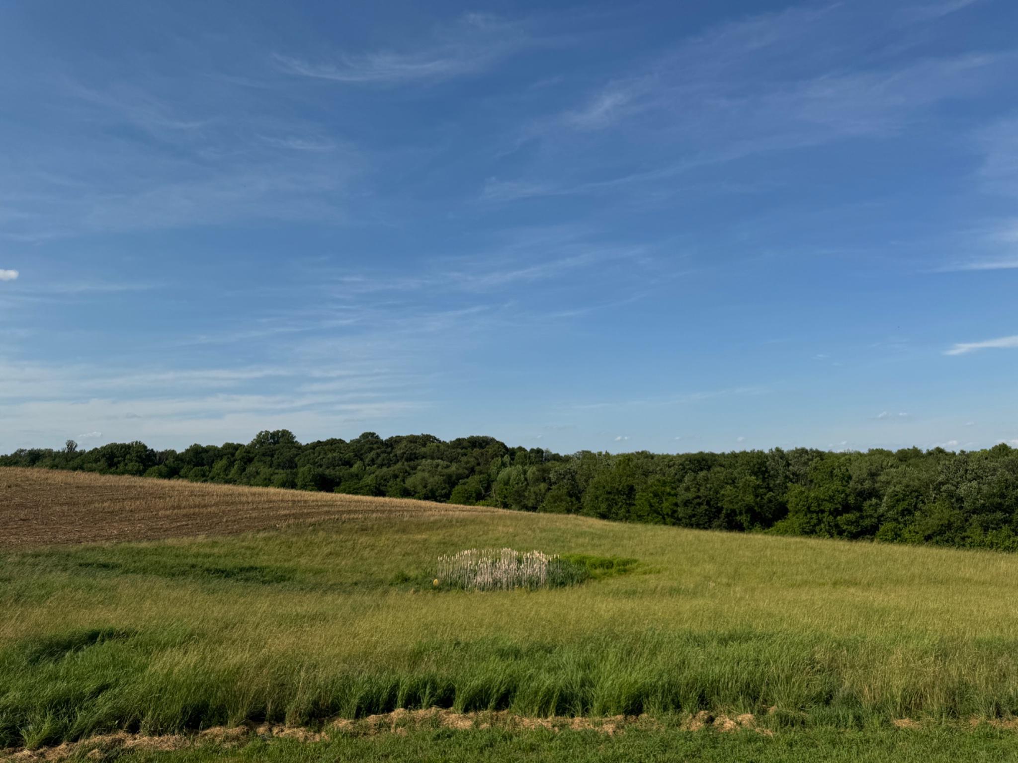 13090 Old Frederick Road Sykesville, MD 21784 - Photo 30 of 31