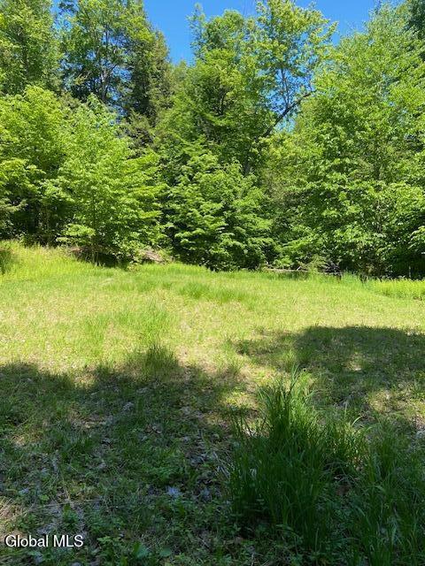 55 Fodder Road Stony Creek, NY 12878 - Photo 3 of 13 Flat clearing