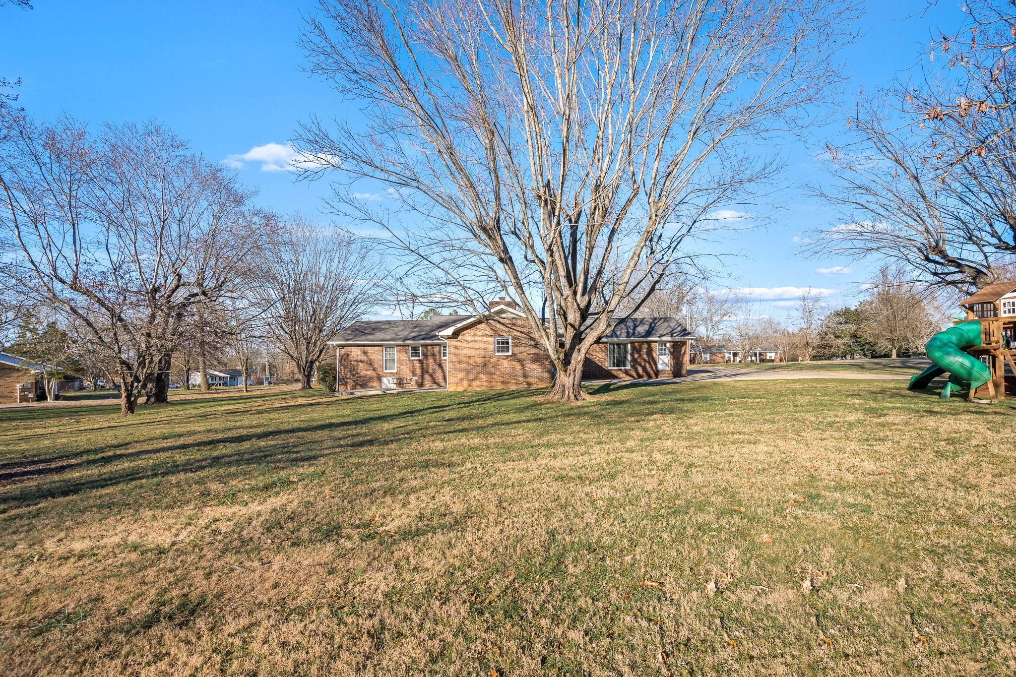 109 Hampshire Road Shelbyville, TN 37160 - Photo 48 of 55 a view of a yard with a large tree
