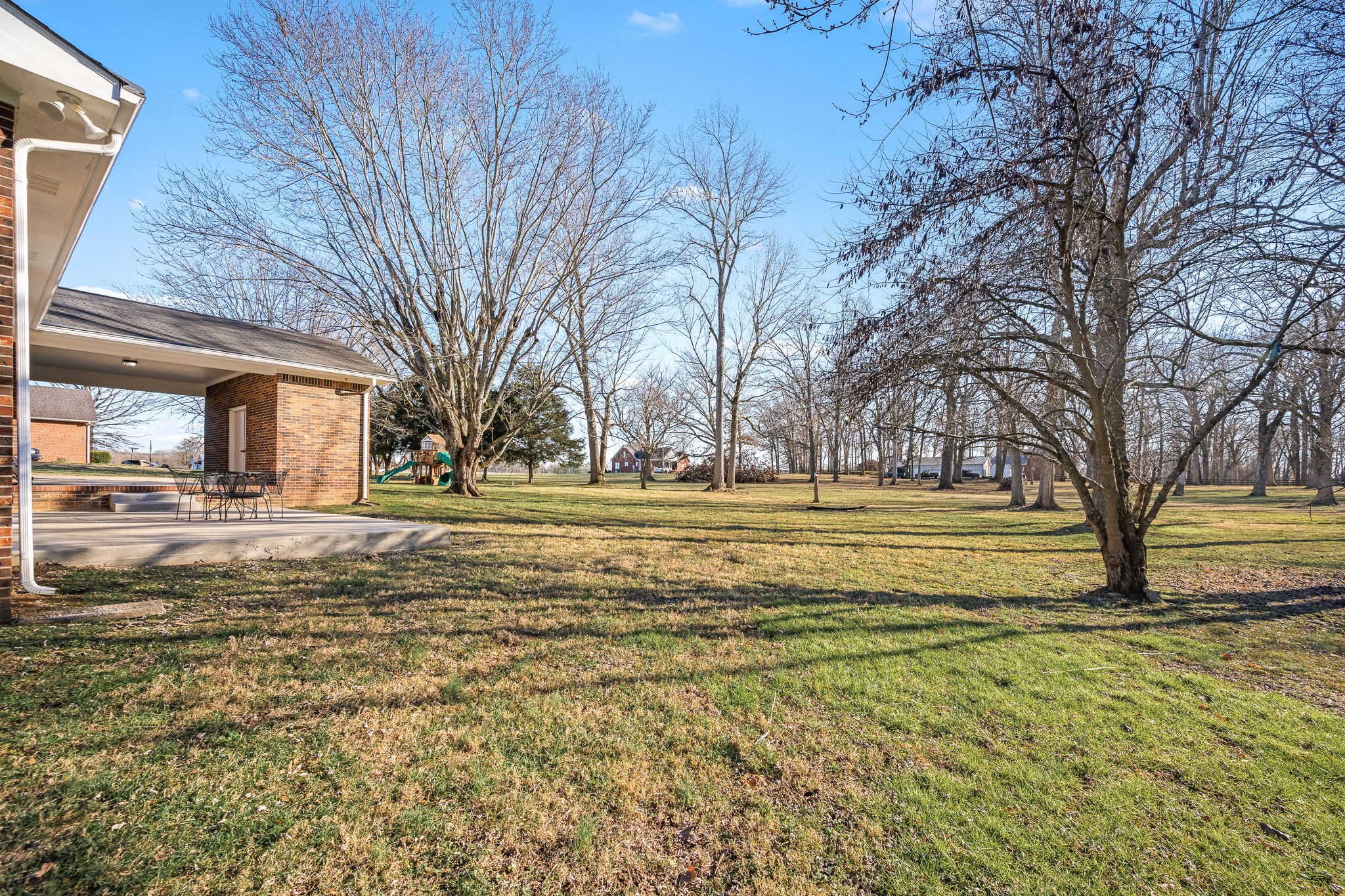 109 Hampshire Road Shelbyville, TN 37160 - Photo 55 of 55 a view of road with large trees