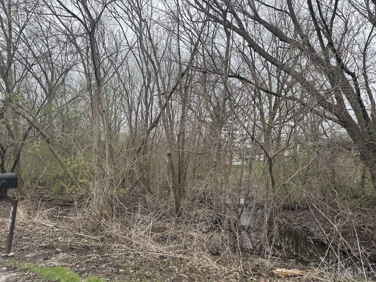 22828 Frederick Road Steger, IL 60475 - Photo 2 of 6 a view of a yard