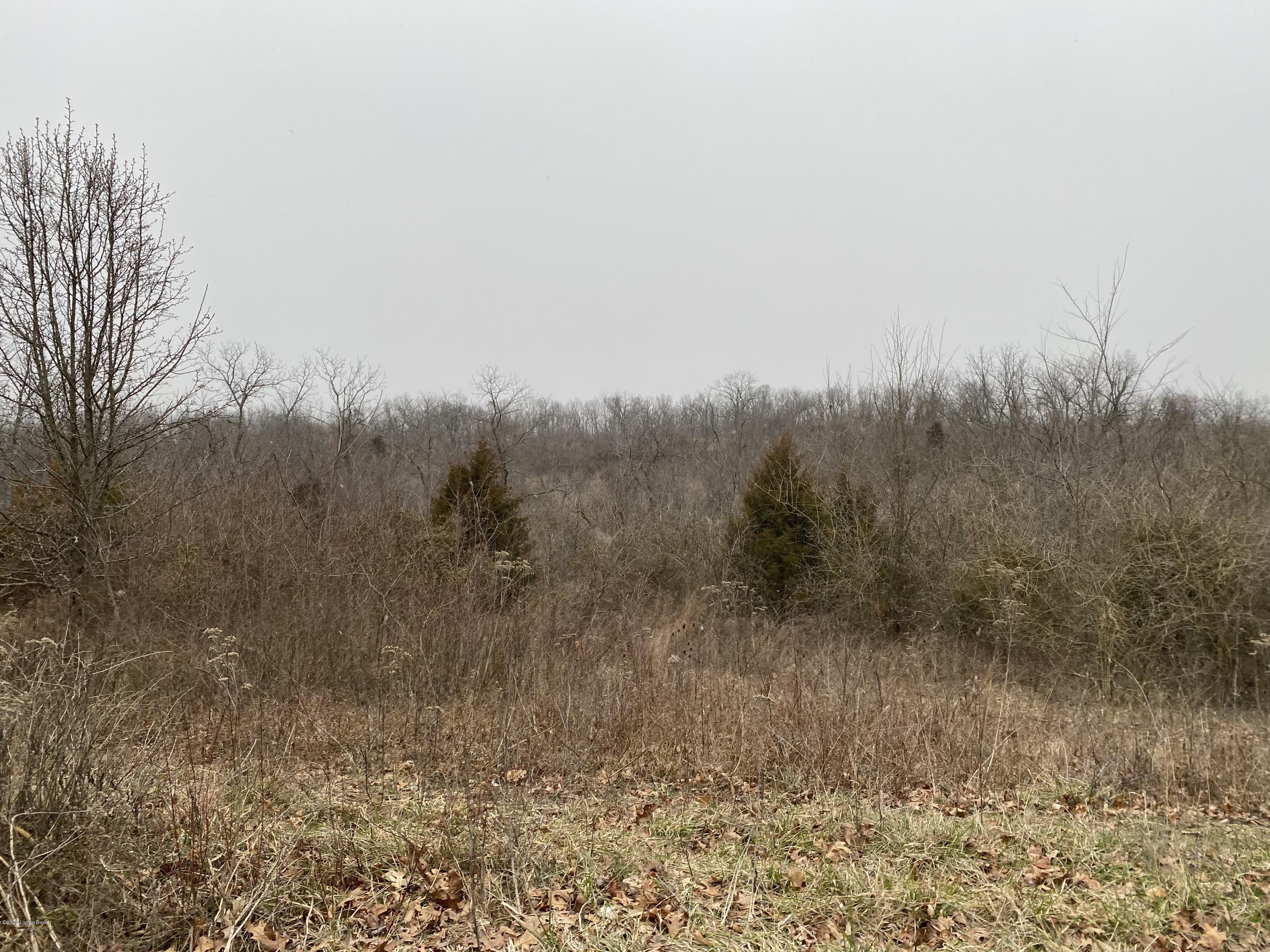 1271 Vance Road Turners Station, KY 40075 - Photo 5 of 13 5