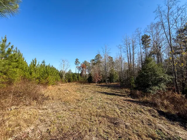 $1,124,550 | 0 Mill Creek, Bethune, SC 29009