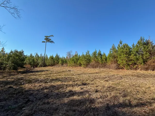 $1,124,550 | 0 Mill Creek, Bethune, SC 29009