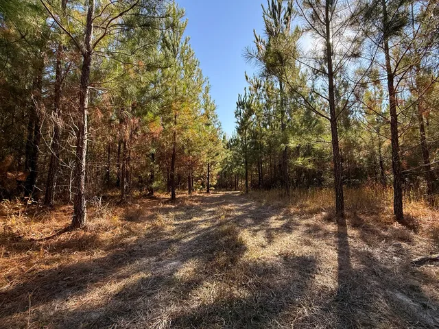 $1,124,550 | 0 Mill Creek, Bethune, SC 29009