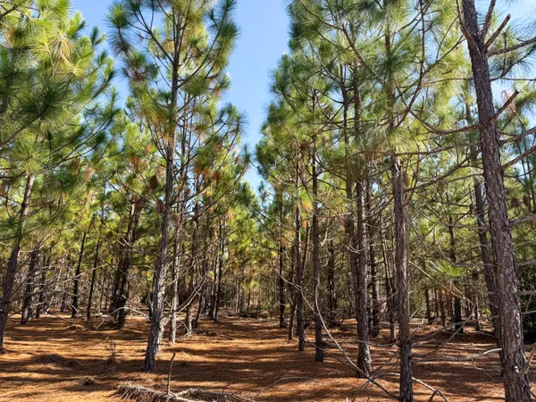 $1,124,550 | 0 Mill Creek, Bethune, SC 29009