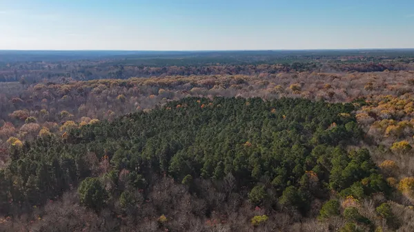 $1,124,550 | 0 Mill Creek, Bethune, SC 29009