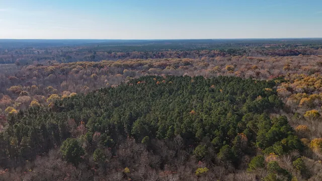 $1,124,550 | 0 Mill Creek, Bethune, SC 29009