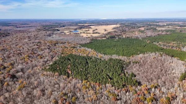 $1,124,550 | 0 Mill Creek, Bethune, SC 29009