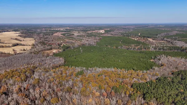 $1,124,550 | 0 Mill Creek, Bethune, SC 29009