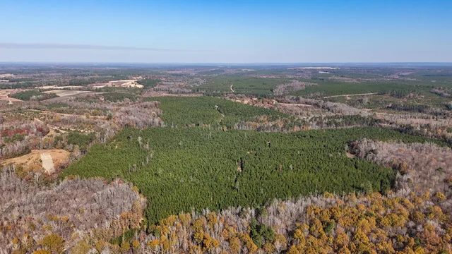 $1,124,550 | 0 Mill Creek, Bethune, SC 29009