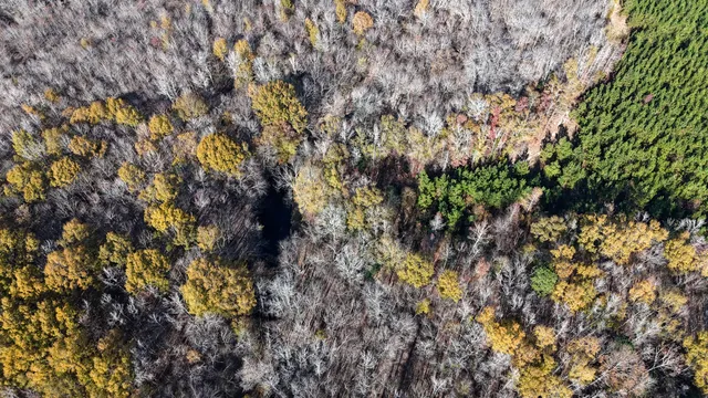 $1,124,550 | 0 Mill Creek, Bethune, SC 29009